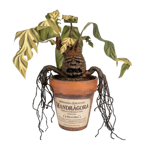 Mandrágora - Barkroot